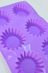 Forme silicon